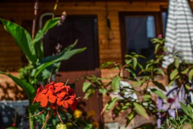 Backyard Apartment Охрид Екстериор снимка